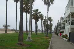 A beach in Los Angeles